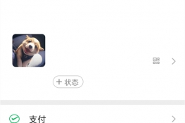 微信视频来电秀怎么设置
